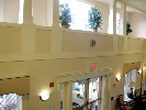 vic lobby